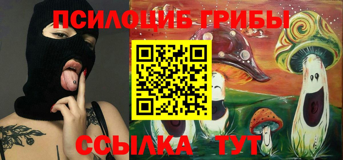 Галлюциногенные грибы ЛСД  Псилоцибиновые грибы Magic Shrooms  цены наркотик  Павловский Посад  Вход с VPN 